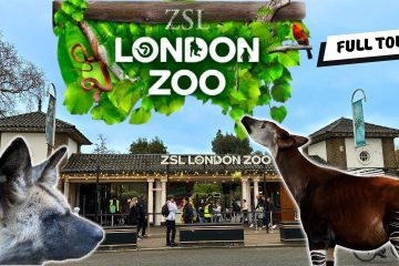 visit london zoo