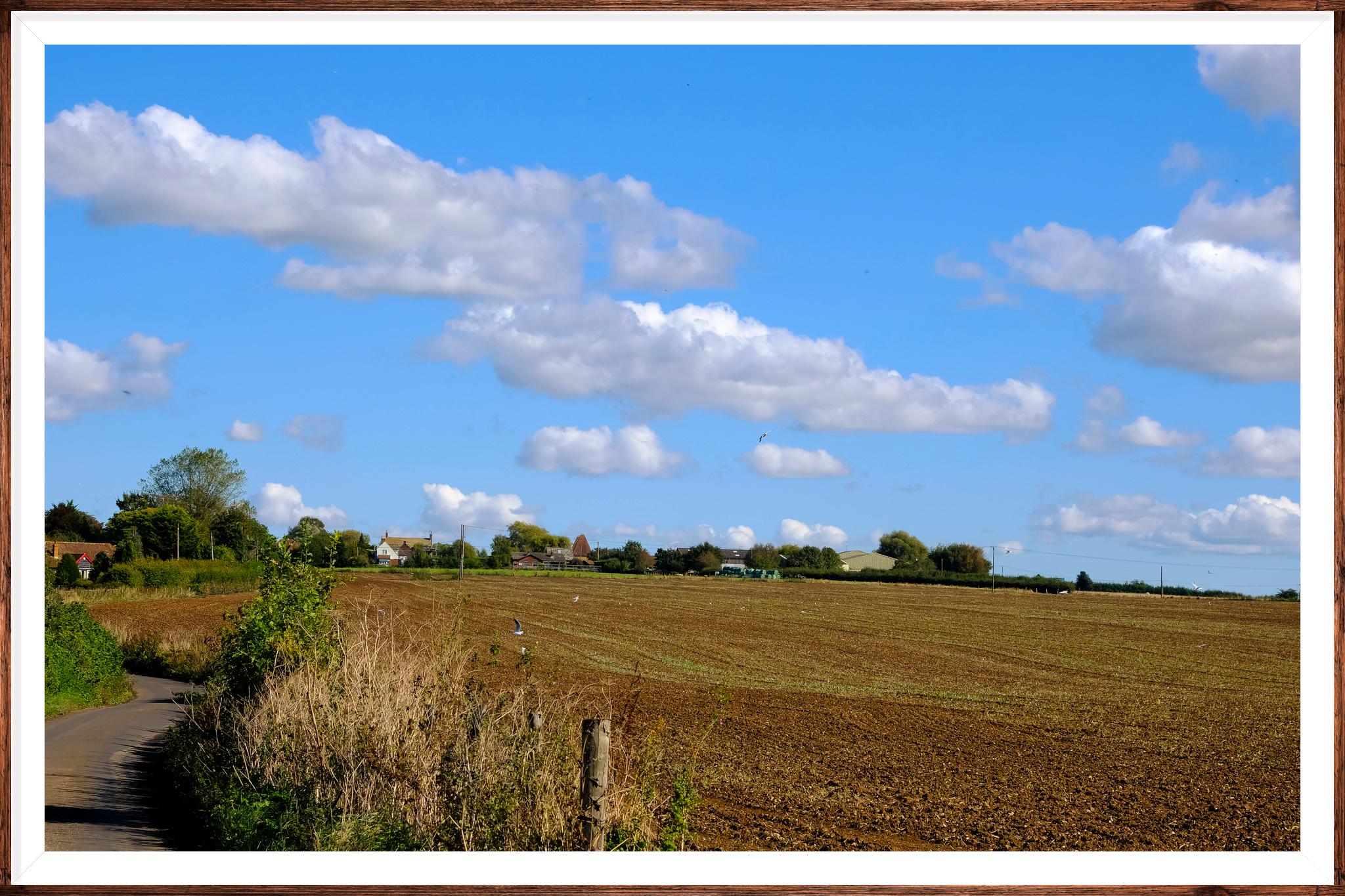 Scenic Drives to Experience the Charm of London