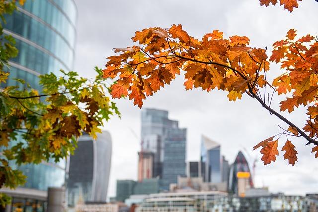 Navigating London Like a Local