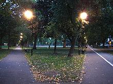 Top ​Things to Do in London Fields Park